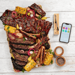 MEATER Plus